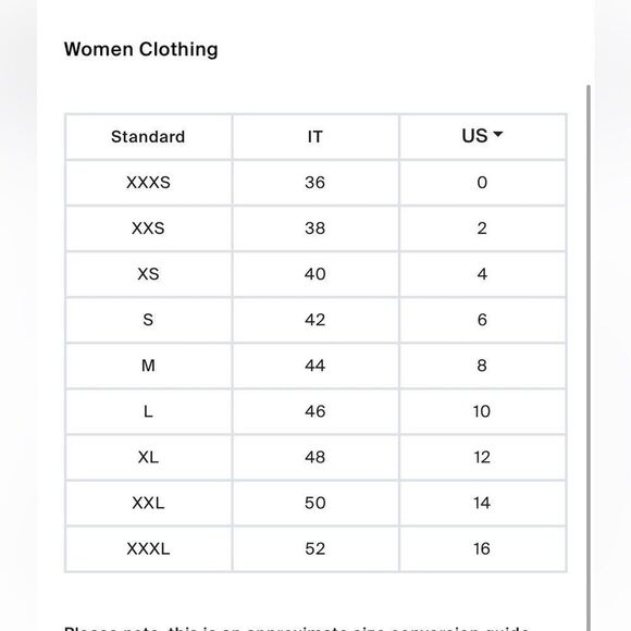 NWT Acne Studios Lightweight georgette fabric with floral embroidery Size 12(42) - Picture 12 of 12